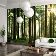 5 ideas for photo wallpapers that miraculously affect the mood of the owners of the house