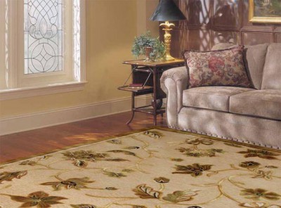 Ang mga karpet na gawa sa polyamide ay humanga sa iba't ibang kulay, texture at istilo.