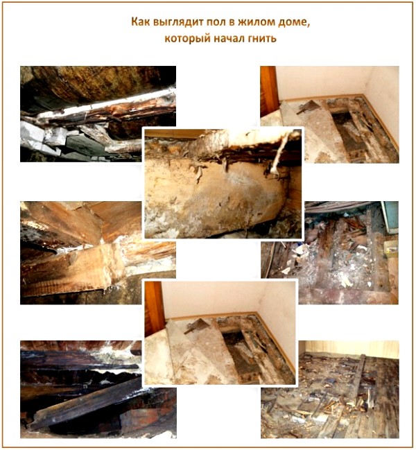 Rotted wood floor