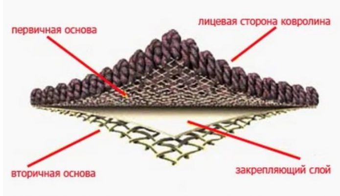 Structure de tapis touffeté