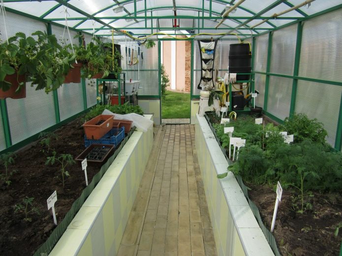 Pag-aayos ng greenhouse