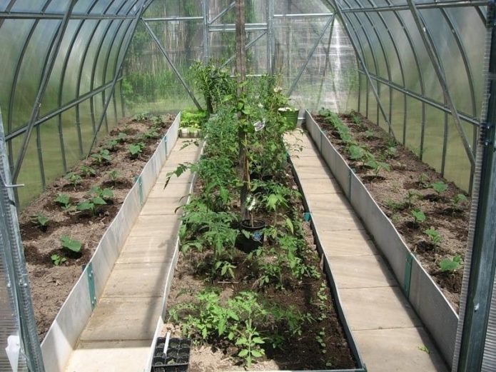 Mga kama sa greenhouse