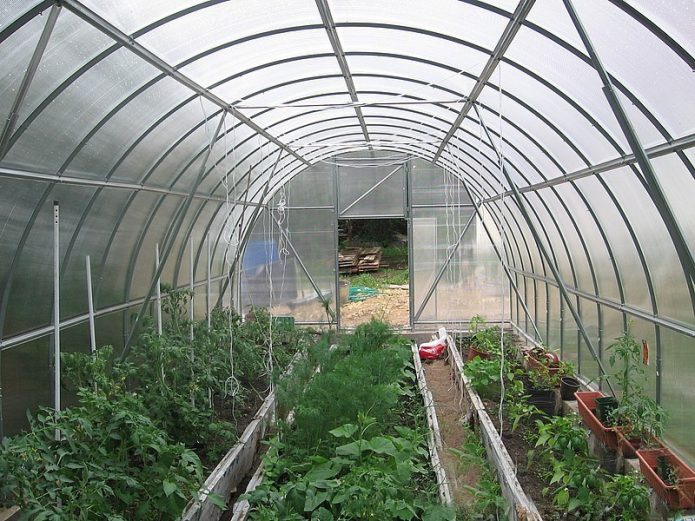Greenhouse in the country
