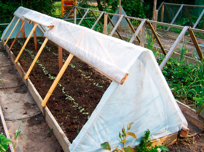 Ang mga greenhouse mula sa mga lumang board at slats