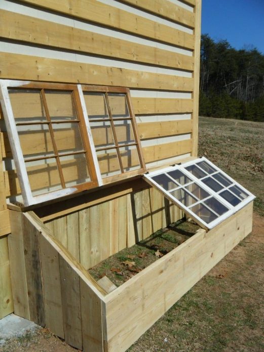 Mini greenhouse mula sa mga frame ng bintana
