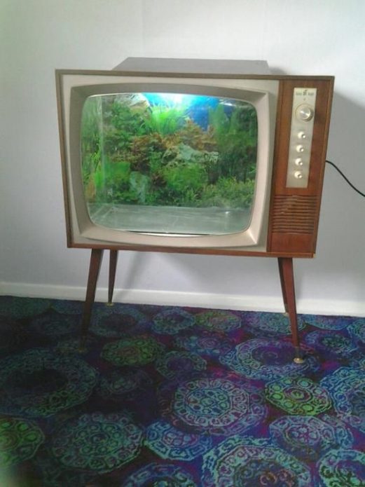 Aquarium dans le téléviseur