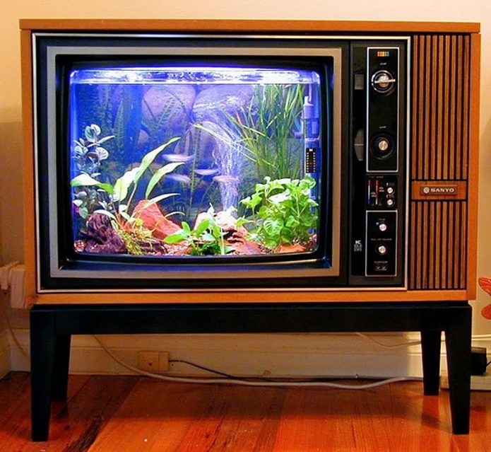 Aquarium van een oude tv
