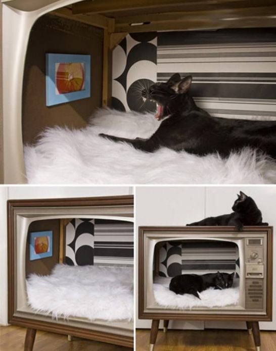Rumah untuk kucing dari TV lama