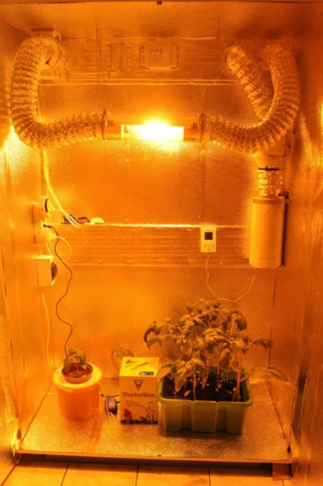 Growbox voor het kweken van planten uit een oude koelkast