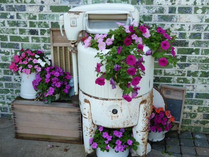 Blomsterrabatt av en gammal tvättmaskin