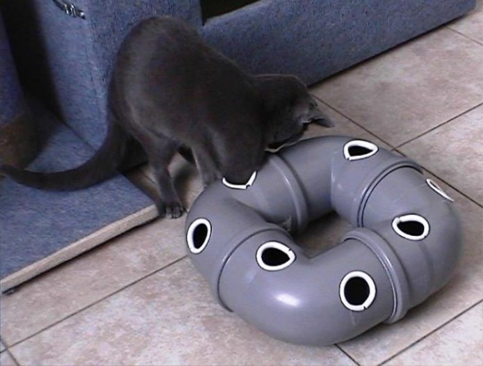 PVC kedi oyuncak