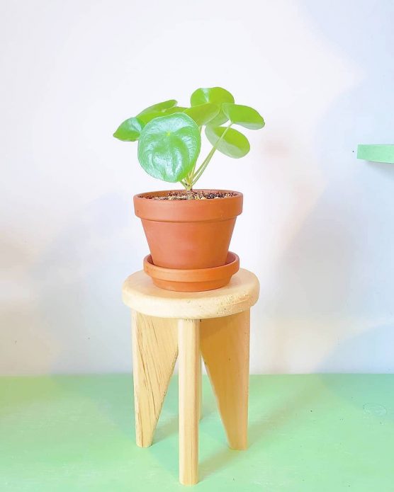 Wooden flower stand