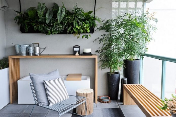 Placera växter i lägenheten