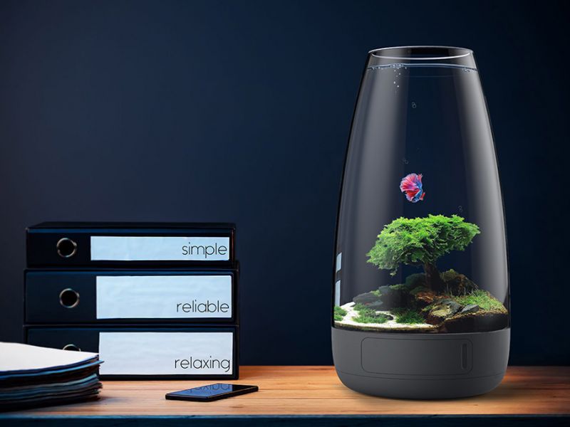 20 besten Ideen für die Platzierung eines Aquariums in einer Wohnung: wo man Fische legt