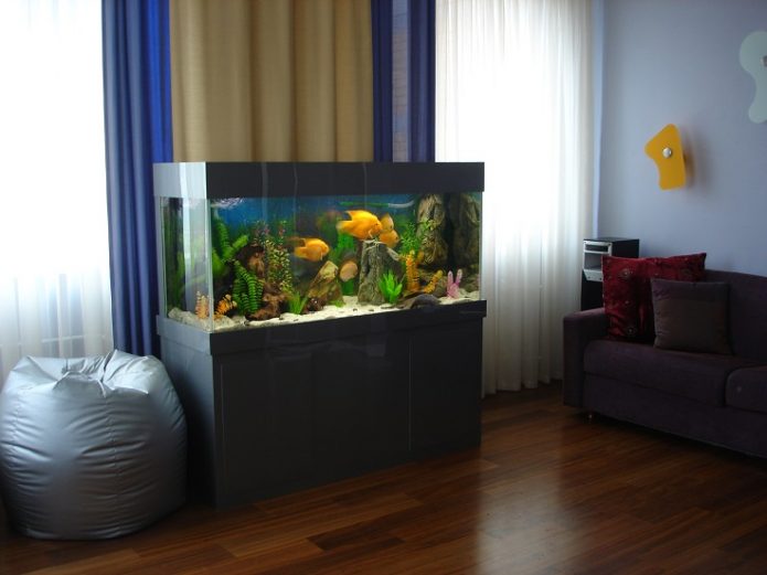 Aquarium dans l'appartement
