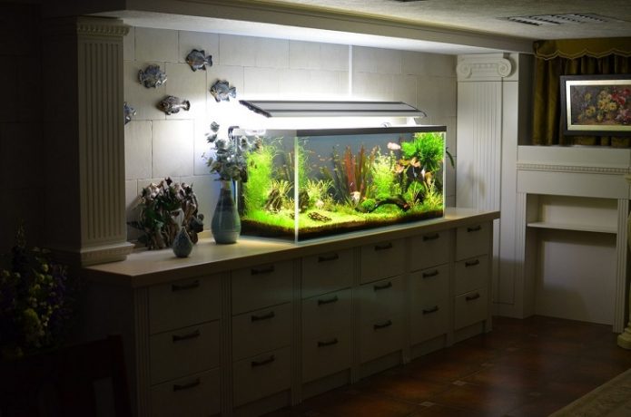 Aquarium in der Wohnung