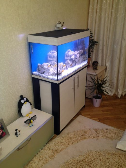 Akvarij u stanu