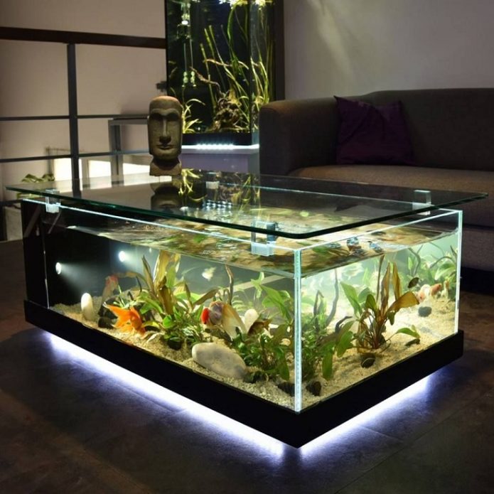 Aquarium dans l'appartement