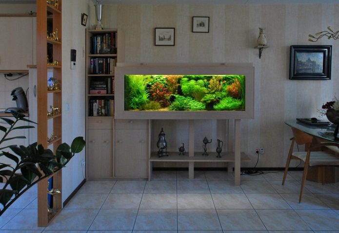 Aquari a l'apartament
