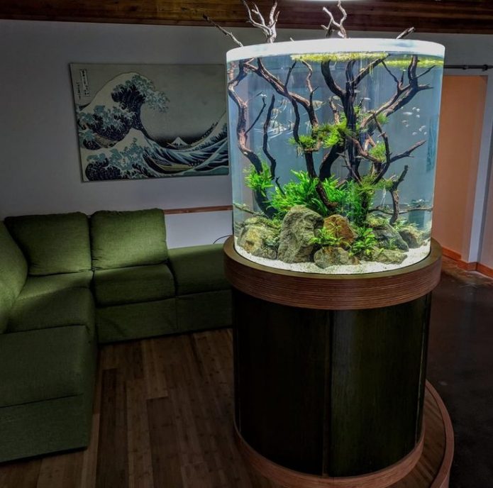 Aquarium in the apartment