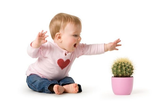 Baby rækker efter kaktus