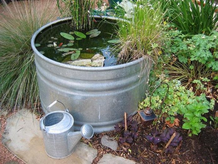 Mini estanque en un tanque de metal
