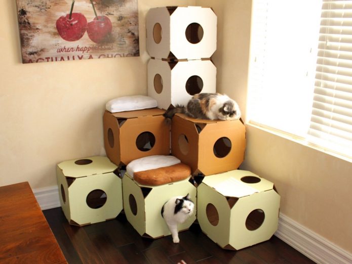 Casa e um labirinto para gatos de caixas