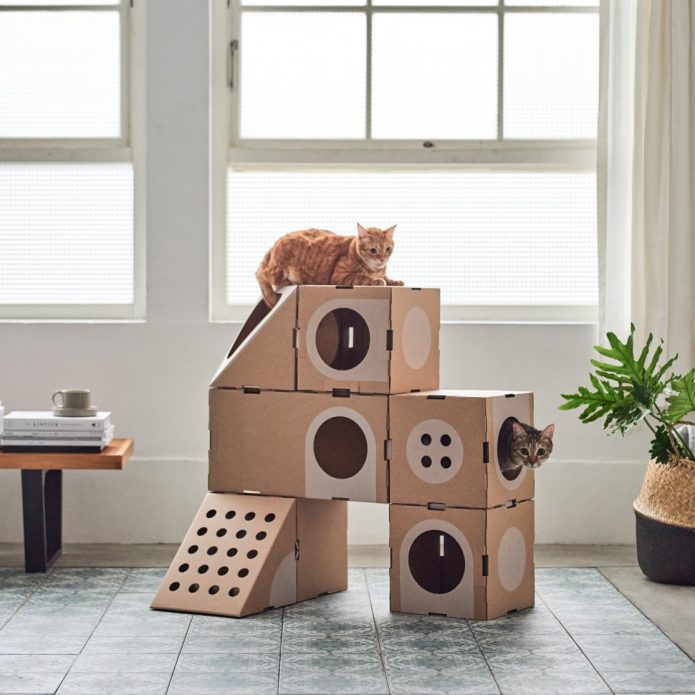 Labyrinth for cats from boxes