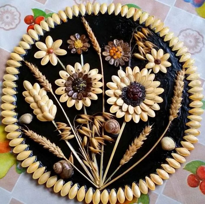 Panel of seeds on a plastic plate