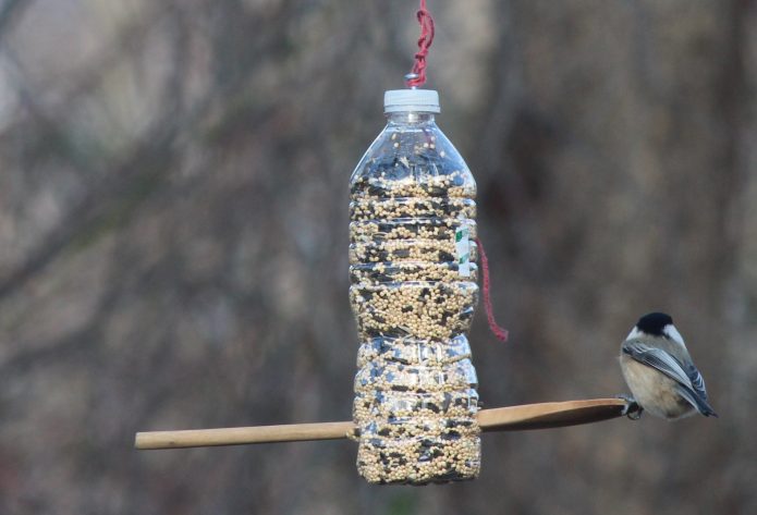 DIY krmítko pro ptáky