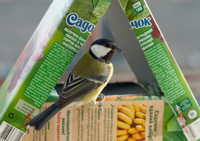 Mangiatoia per uccelli fai da te