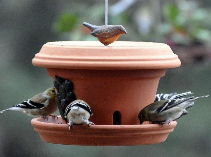 DIY تغذية الطيور