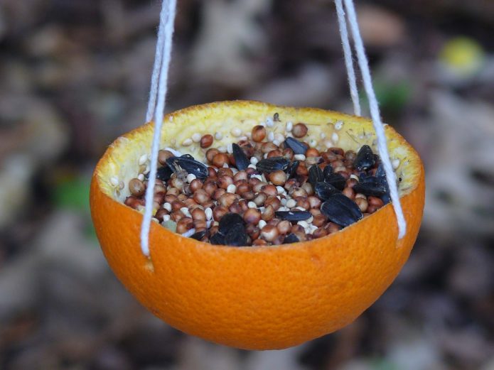 Essbarer Orangenschalen-Feeder