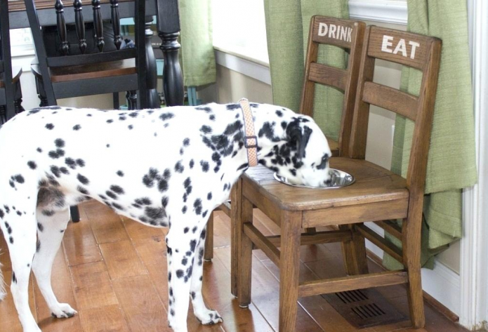 Hondenvoerbak van oude stoelen