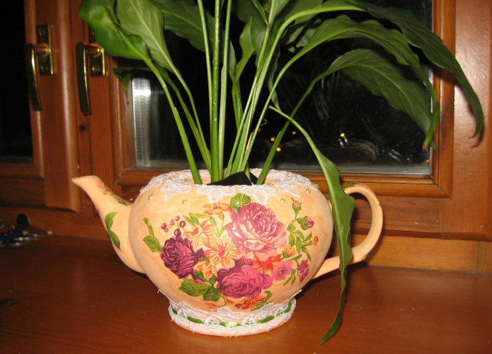 กระถางดอกไม้จากกาน้ำชาเก่า