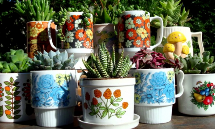 Pots de fleurs de tasses