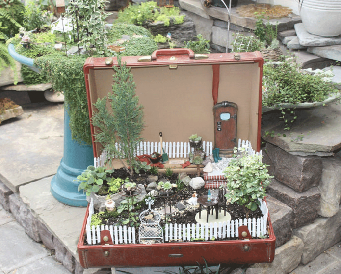 Mini-jardim em uma mala velha