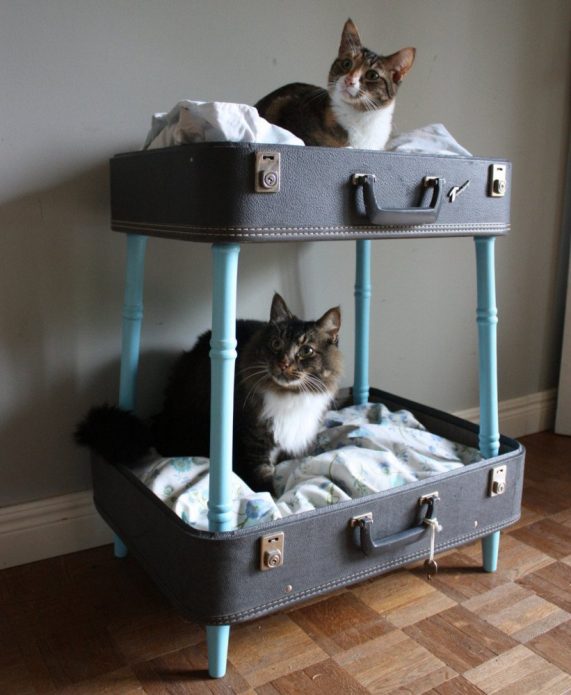 Sleeping places from suitcases for two cats
