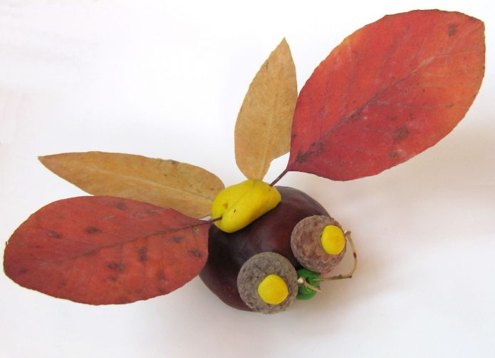 Kraftangan comel yang diperbuat daripada daun, biji dan buah berangan