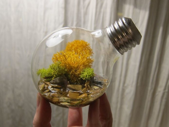 Light bulb mini aquarium