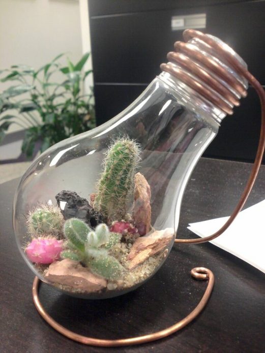 Florarium in a light bulb