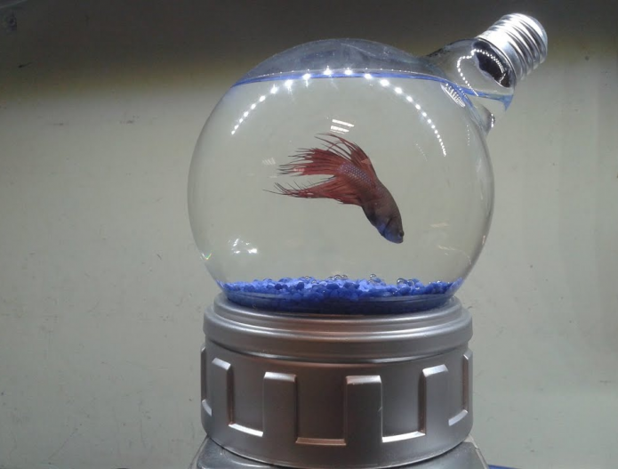 Aquarium à ampoule