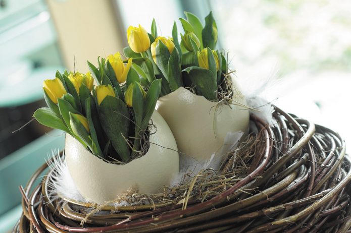Tulipani a guscio d'uovo