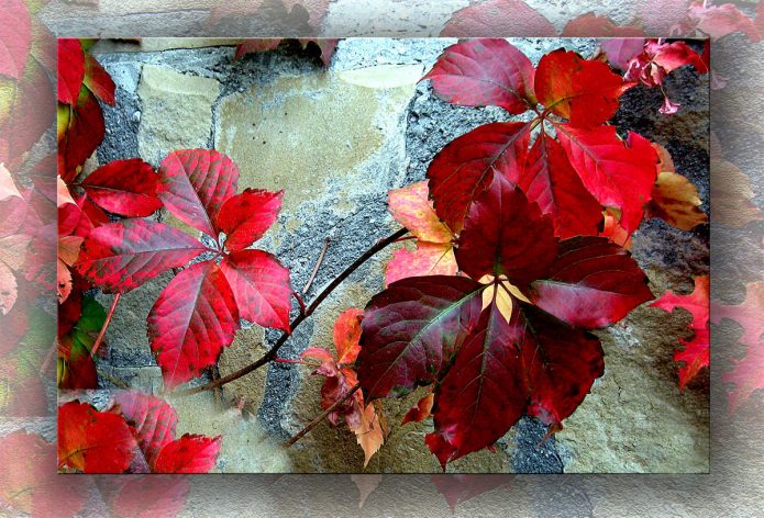 Panel de hojas de otoño