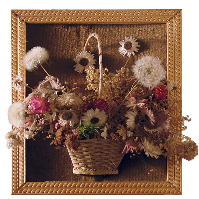 Bouquet of dried flowers in a frame