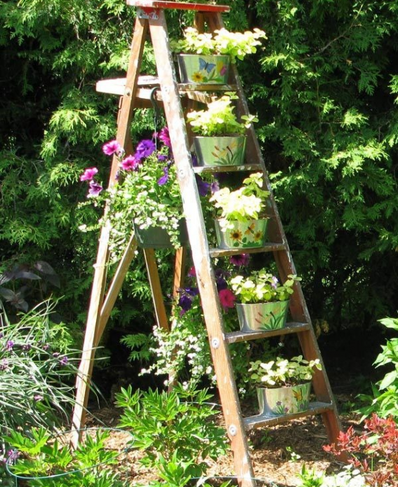 Contenedor de flores de una escalera de mano en una cabaña de verano