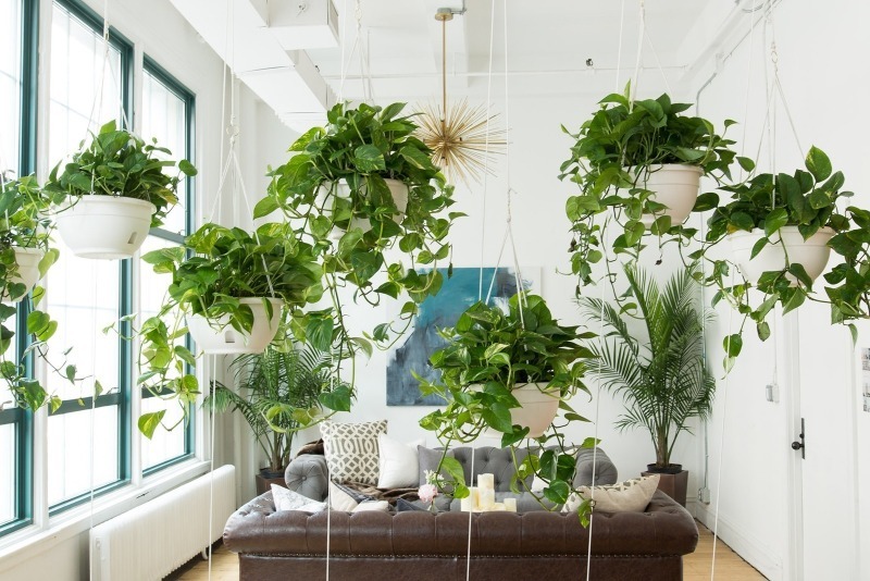 7 idea menarik mengenai cara menaik taraf dalaman anda dengan tanaman sahaja