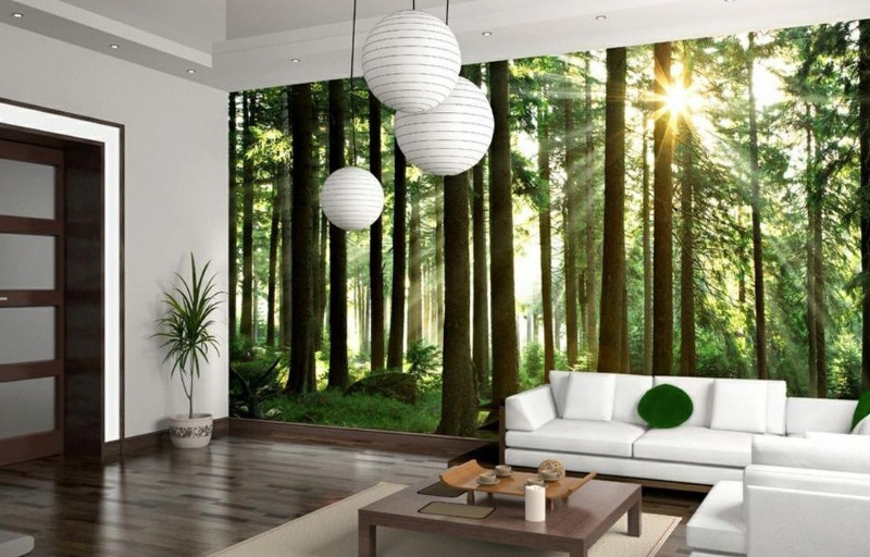 5 idea untuk wallpaper foto yang secara ajaib mempengaruhi mood pemilik rumah